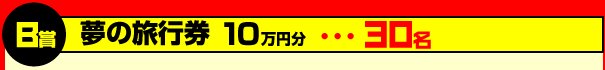 B賞 夢の旅行券10万円分